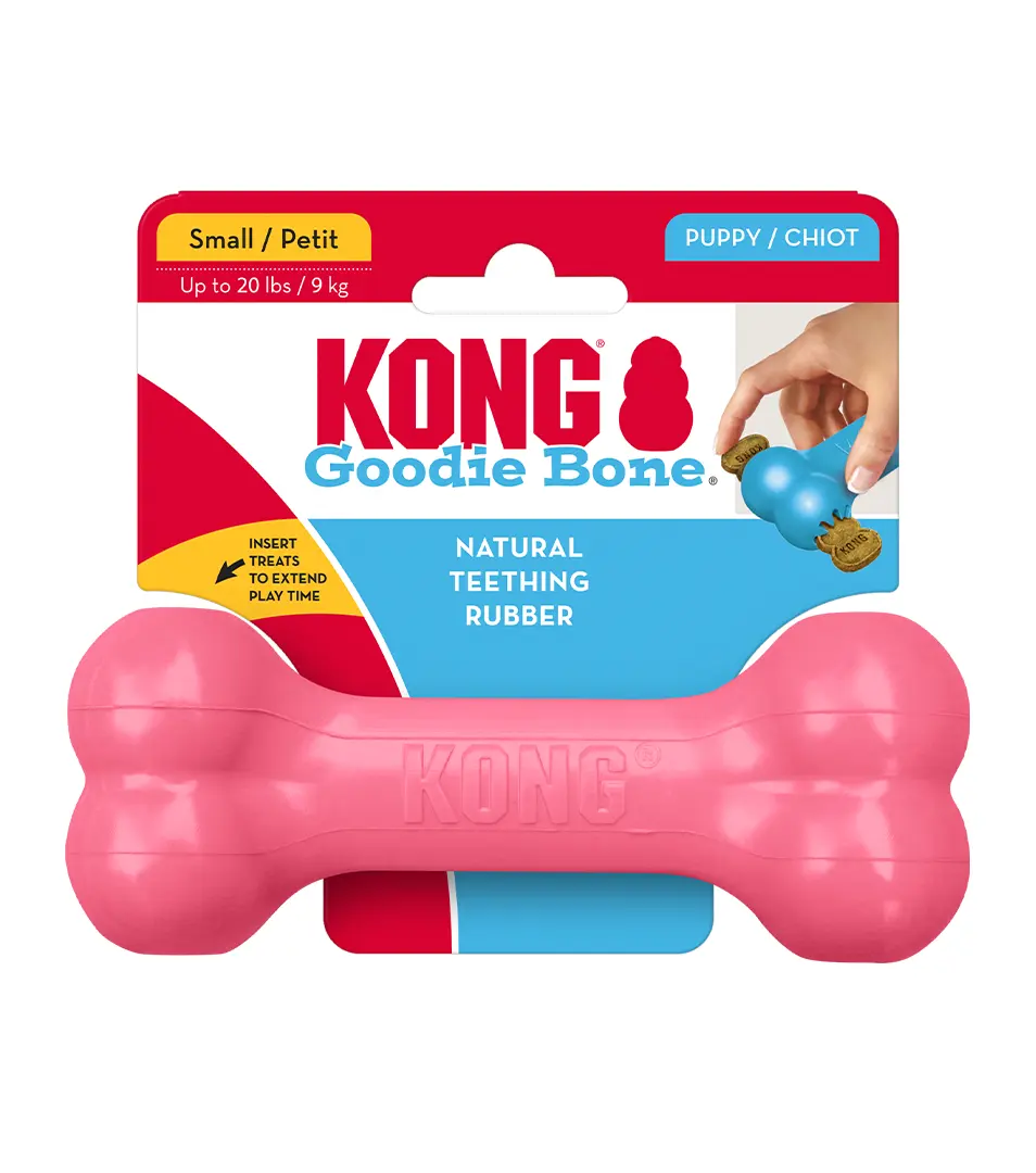 Hračka Kong Dog Puppy Kosť fialová, guma prírodná, S